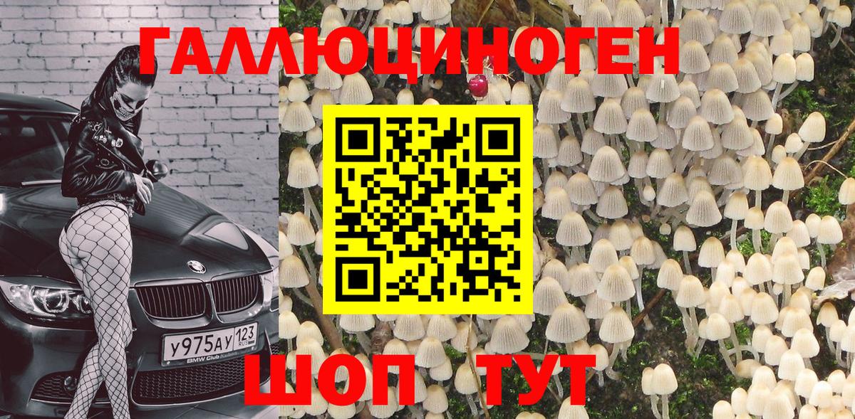 Лесозаводск  Псилоцибиновые грибы MAGIC MUSHROOMS  Псилоцибиновые грибы Magic Shrooms  Вход с VPN 